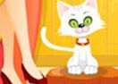 Virtual Cat