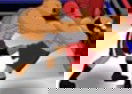 World Boxing Tournament