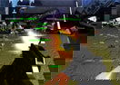 Zombie Battlefield